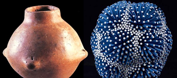 Introduction à l’art céramique : Atelier poterie et céramique